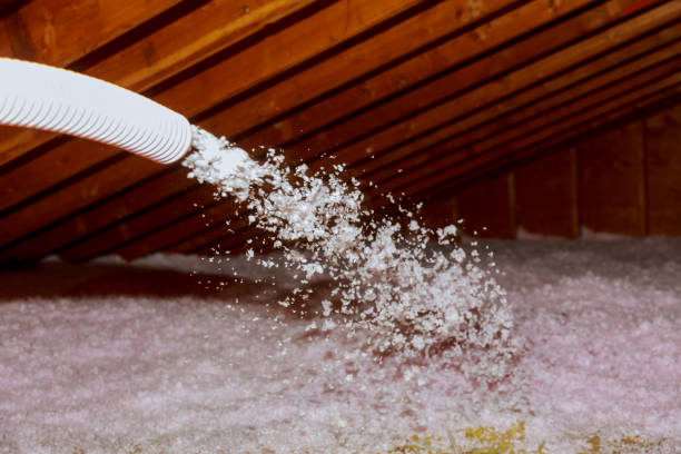 Best Residential Insulation in Dewitt, AR