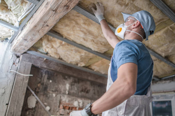  Dewitt, AR Insulation Contractor Pros