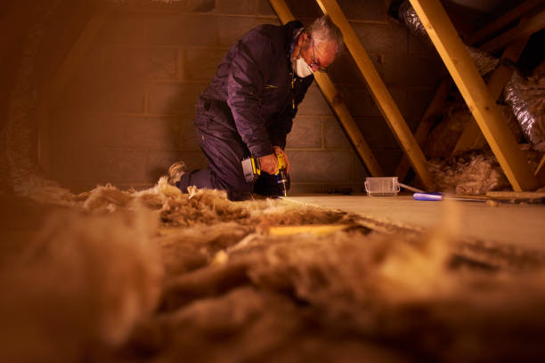 Best Insulation for Specific Applications in Dewitt, AR